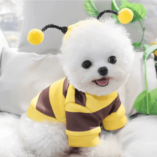 Cute bee puppy costume for small dogs - yellow and brown stripes