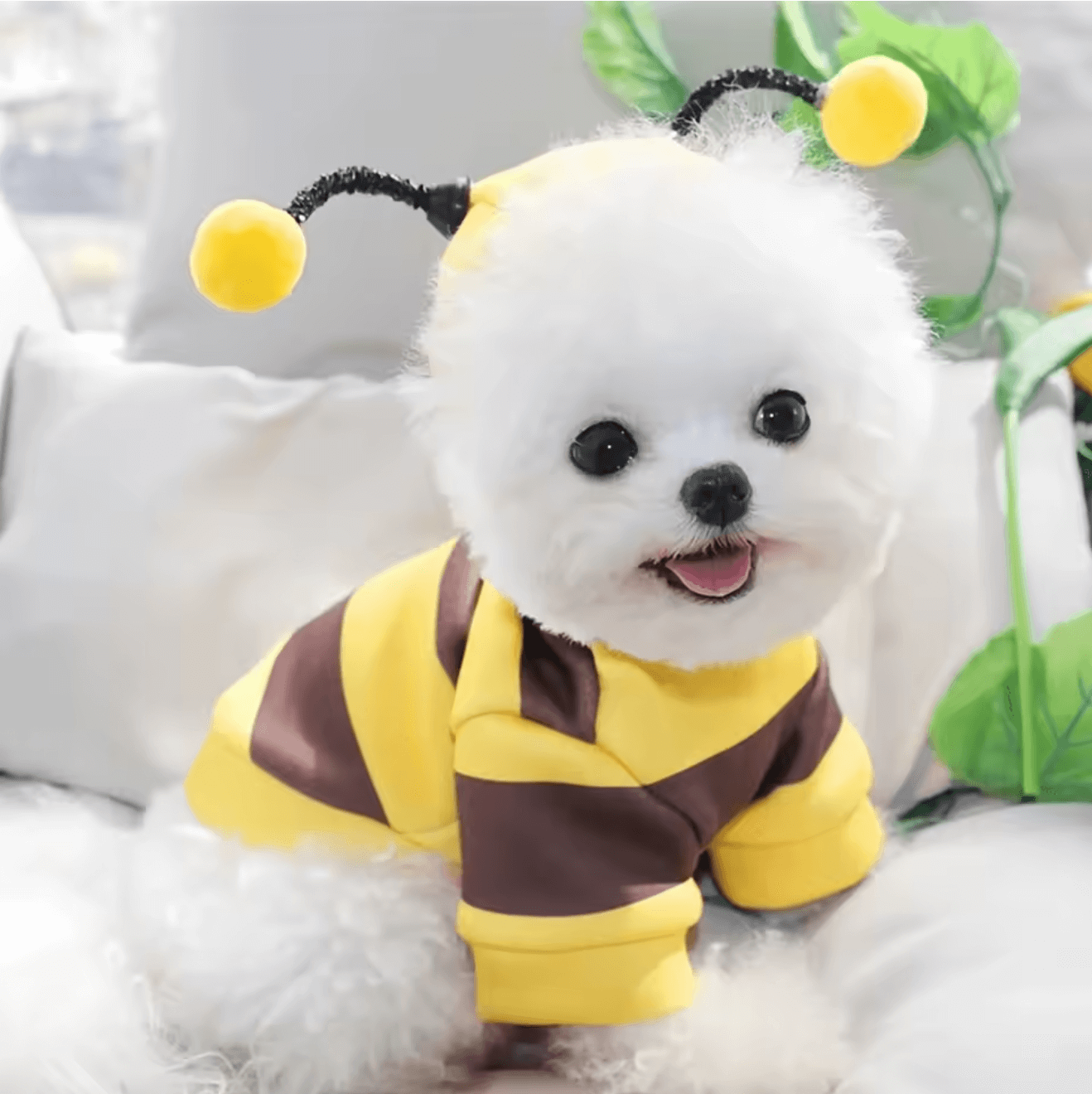 Cute bee puppy costume for small dogs - yellow and brown stripes