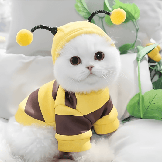 bee dog costume hoodie

cute bee outfit for small dogs

warm winter pet hoodie bee design

funny dog costume yellow black
