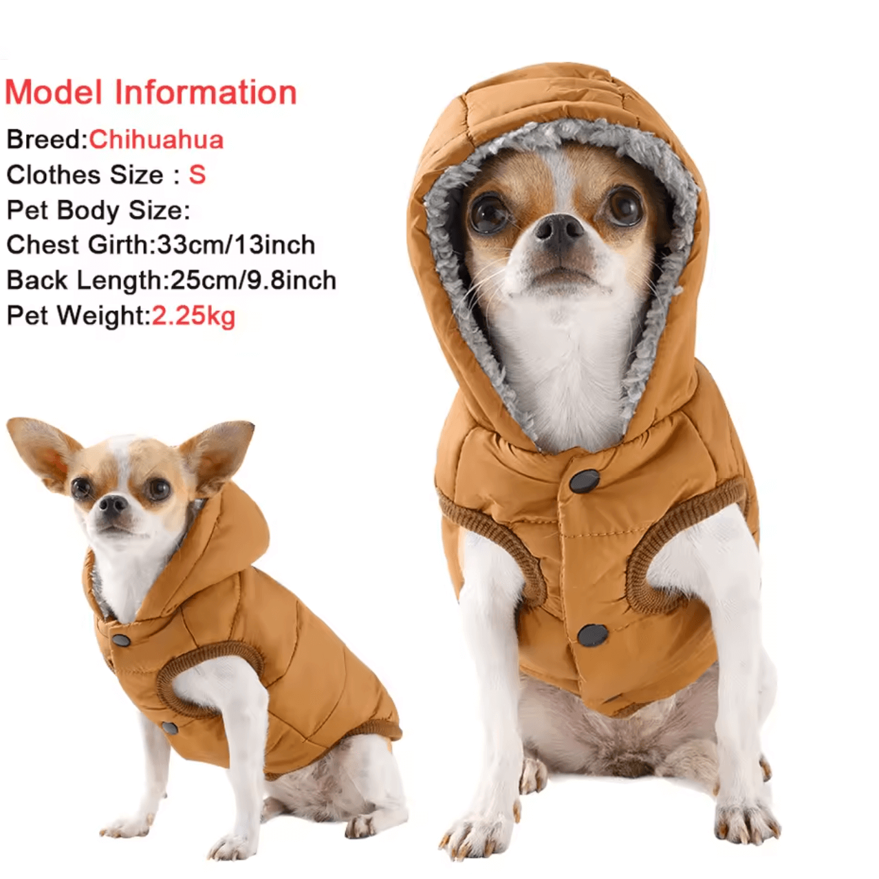 Image of a small Chihuahua wearing a warm fleece pet hoodie vest, showcasing its cozy design and hood.