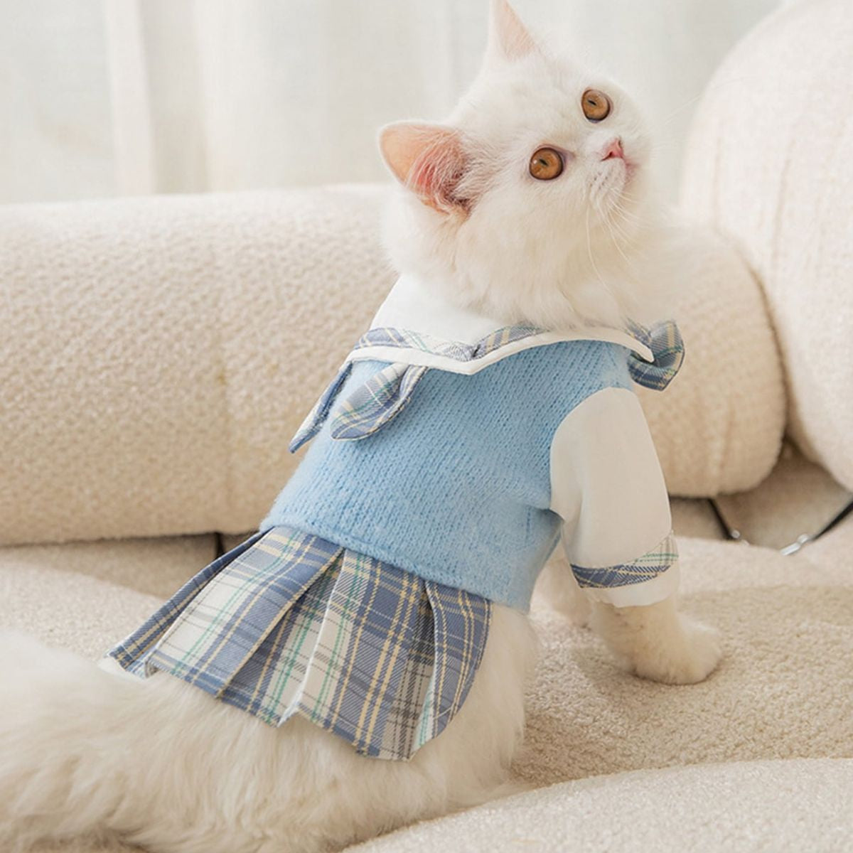 White cat wearing a blue outfit with plaid details on a beige couch.