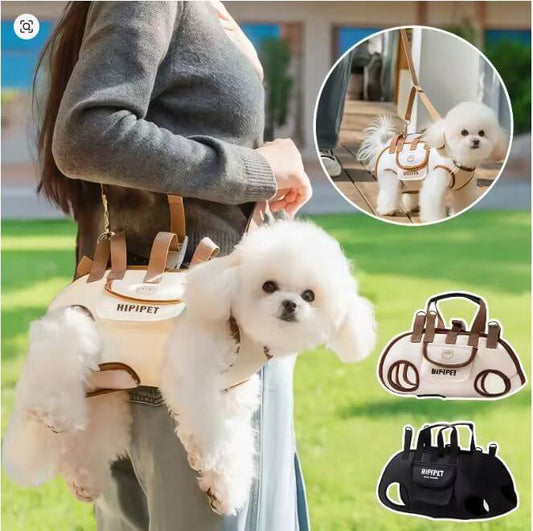 Outdoor Pet Carrying Bag for Small Dogs & Cats with Safety Harness