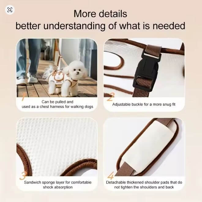 Outdoor Pet Carrying Bag for Small Dogs & Cats with Safety Harness