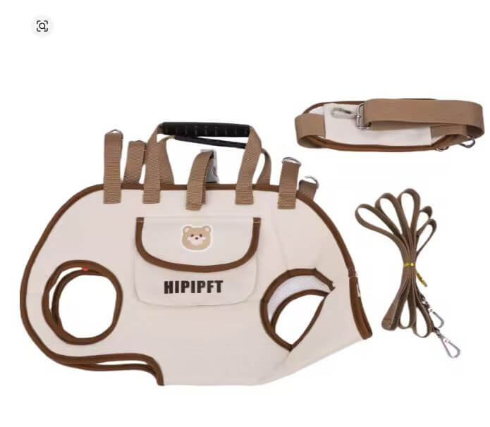 Outdoor Pet Carrying Bag for Small Dogs & Cats with Safety Harness