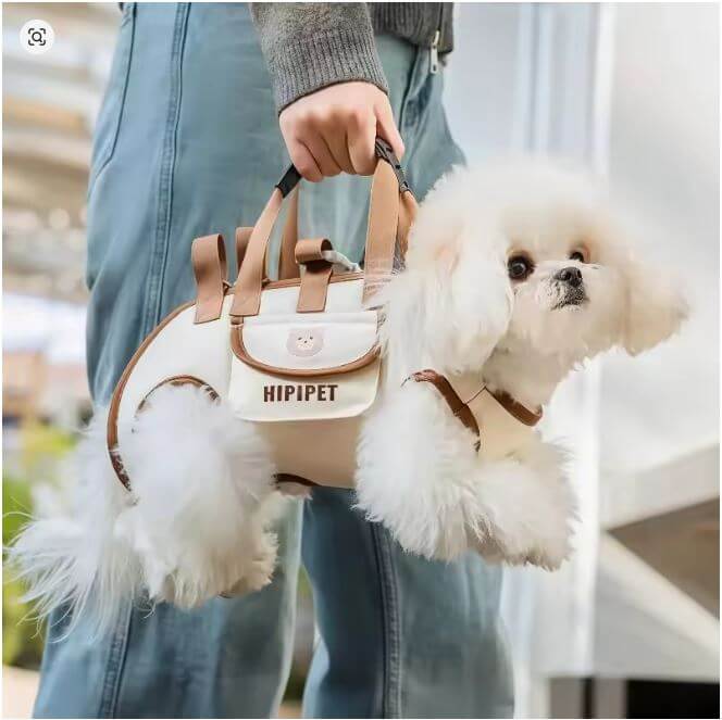 Outdoor Pet Carrying Bag for Small Dogs & Cats with Safety Harness