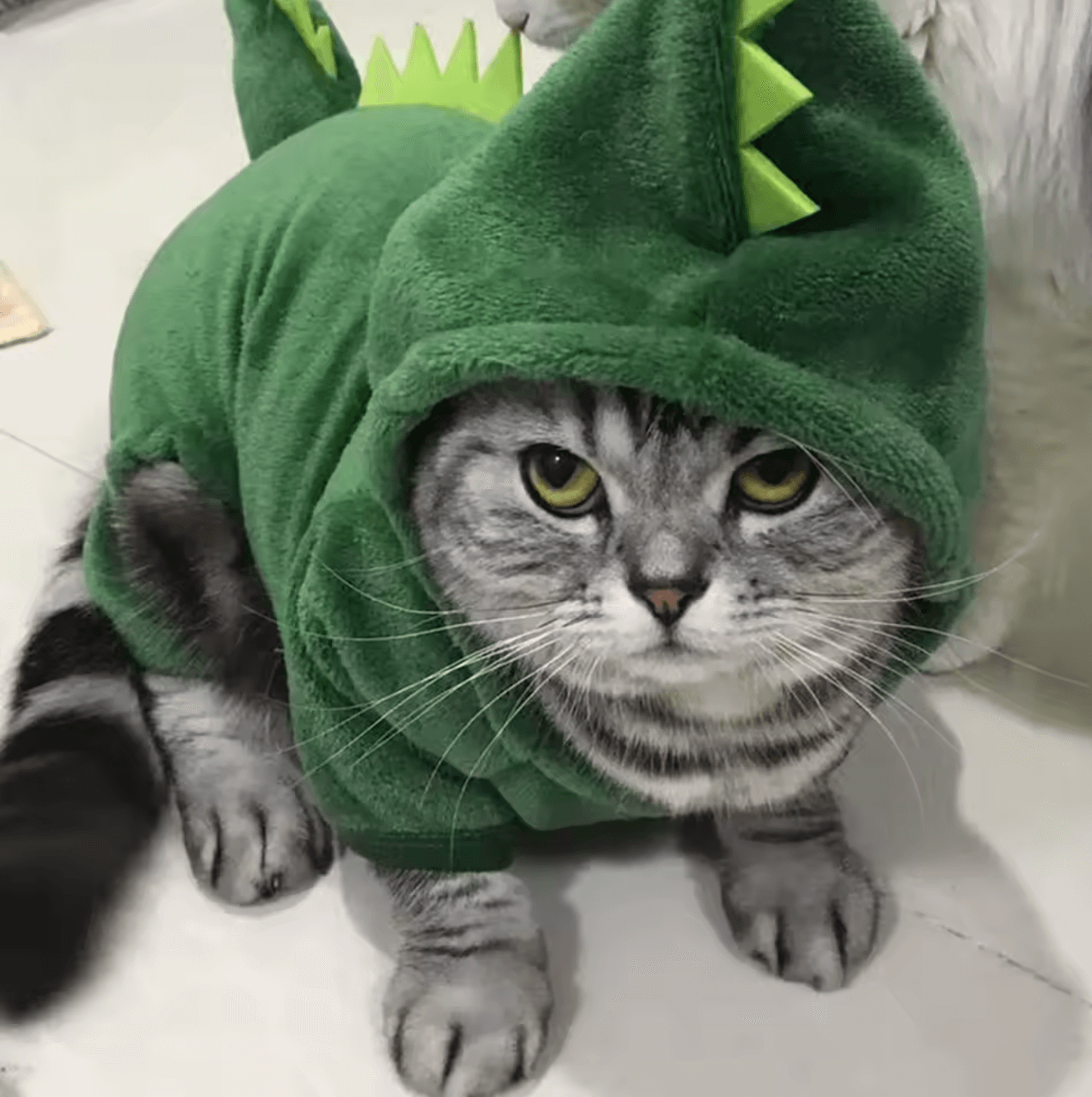 Cute dinosaur pet costume for a cat, featuring a cozy green fleece outfit with spikes.