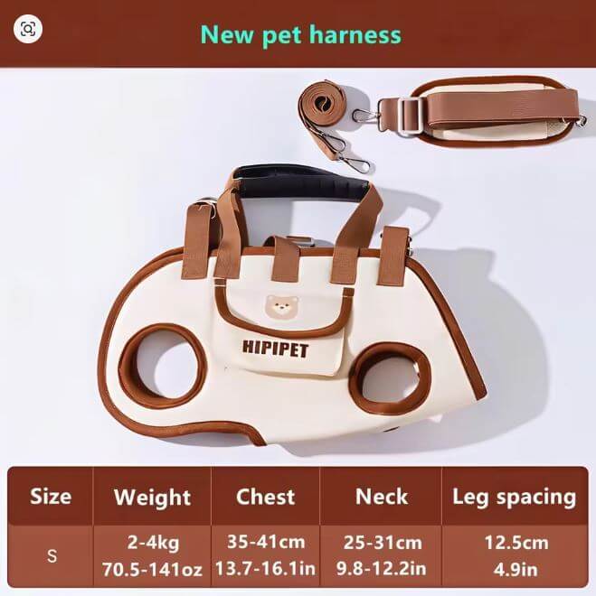 Outdoor Pet Carrying Bag for Small Dogs & Cats with Safety Harness